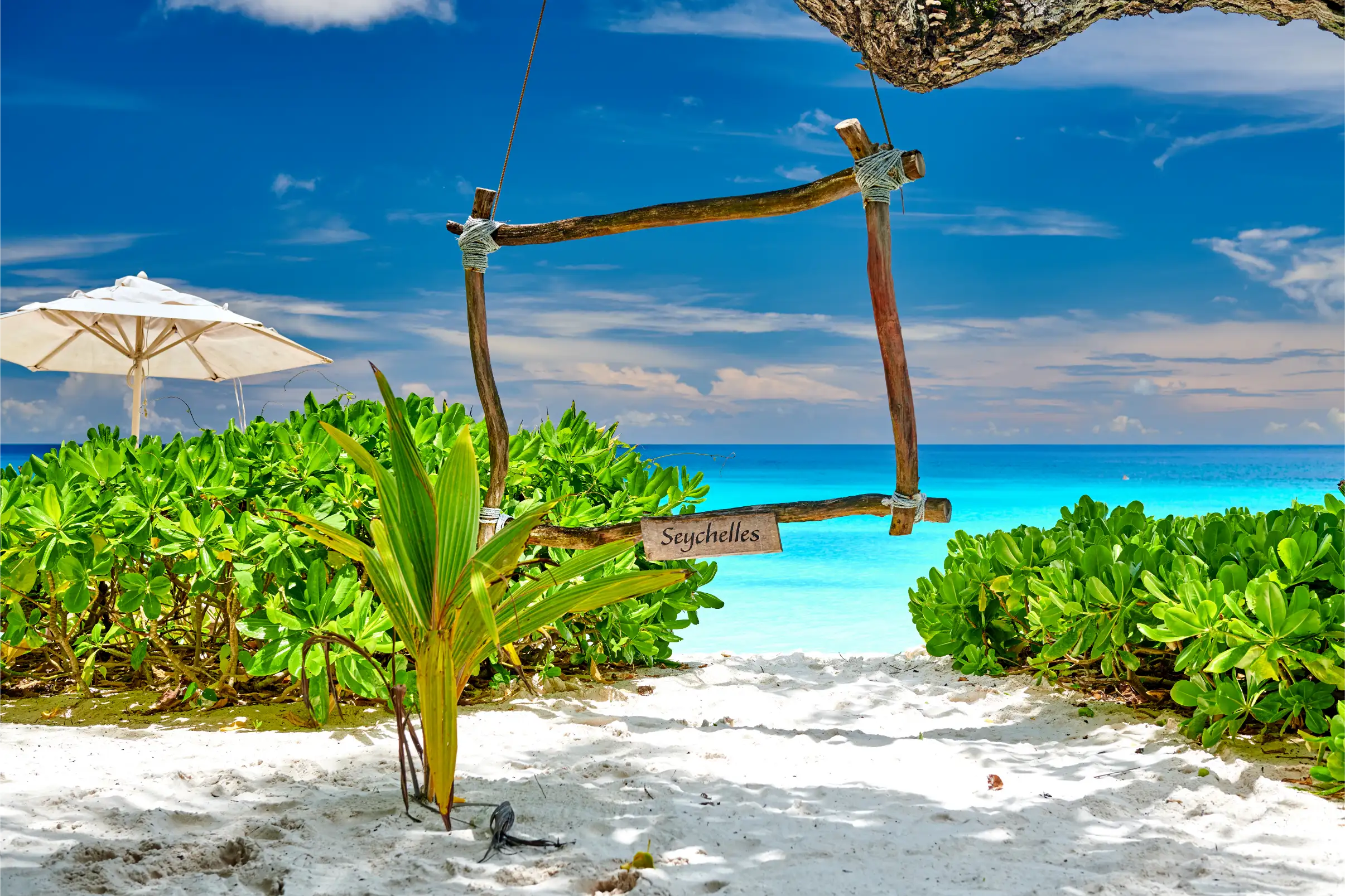 maldives-img (4)